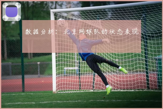 数据分析：北京网球队的状态表现