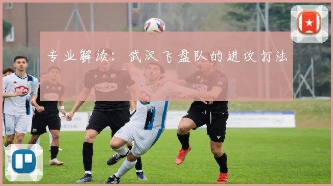 专业解读：武汉飞盘队的进攻打法