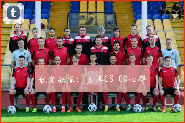 张芳独家：分享CS_GO心得