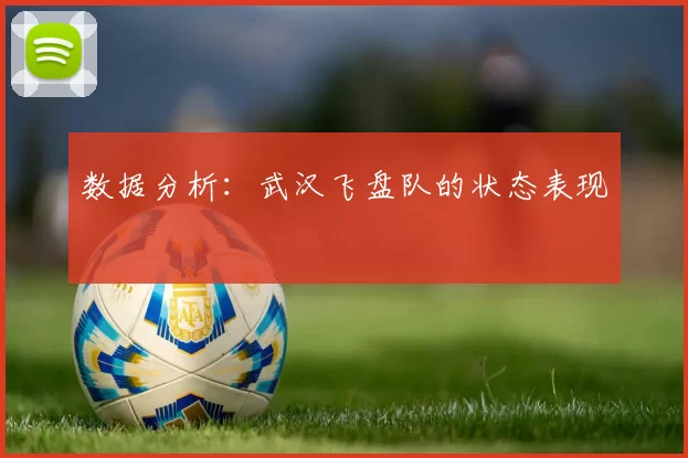 数据分析：武汉飞盘队的状态表现