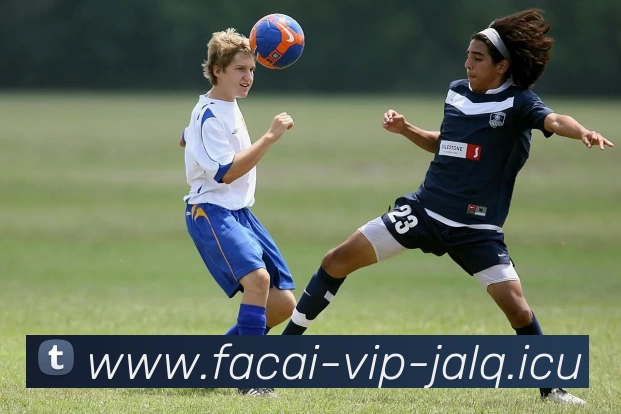 米兰体育发展历程